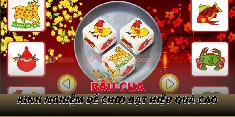 Kinh nghiệm để chơi đạt hiệu quả cao